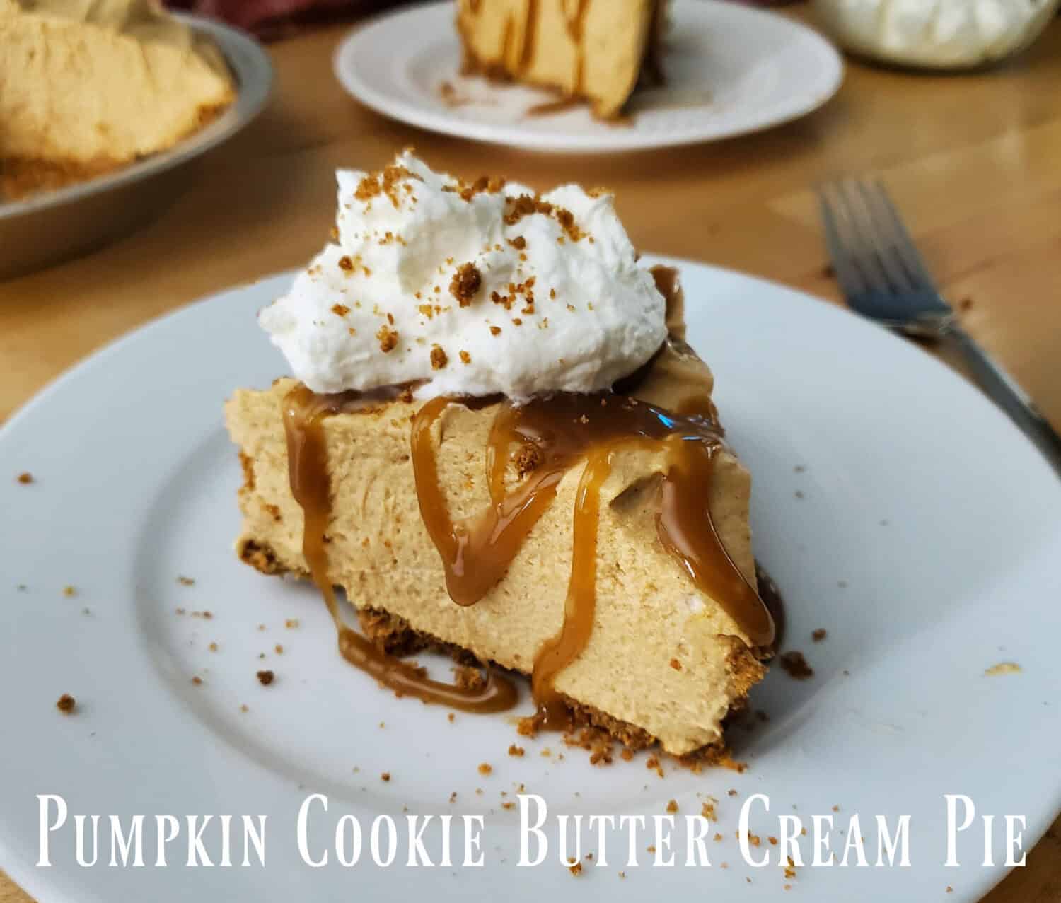 Creamy spiced pumpkin-cookie butter fluffy filling with a gingersnap cookie crust. Serve with extra whipped cream and salted caramel sauce!